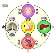 器官五行調適.請加r53818486